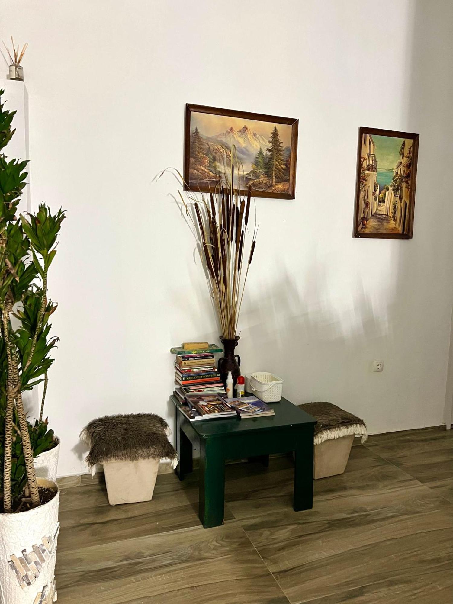 Ferienwohnung Dado Virpazar Exterior foto